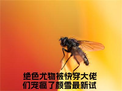 绝色尤物被快穿大佬们宠疯了颜雪言情推荐小说阅读-小说《绝色尤物被快穿大佬们宠疯了颜雪》绝色尤物被快穿大佬们宠疯了颜雪免费阅读