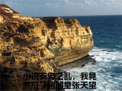 安史之乱，我竟然成了唐明皇张天望正版小说最新章节在线阅读-（安史之乱，我竟然成了唐明皇张天望）全文无弹窗阅读