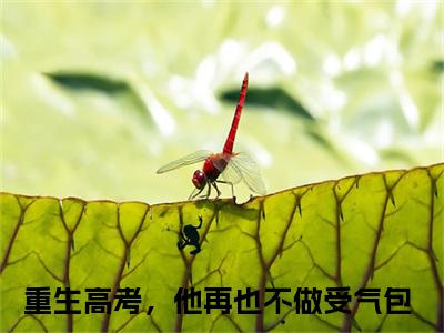 林瑾年顾若清（重生高考，他再也不做受气包）全文免费阅读无弹窗大结局_重生高考，他再也不做受气包全文免费阅读_笔趣阁