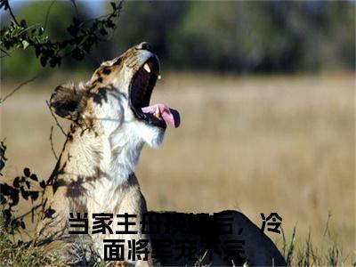 当家主母换嫁后，冷面将军宠不完（肖洛燕尽驰）全文免费阅读无弹窗大结局_肖洛燕尽驰完整版小说阅读（当家主母换嫁后，冷面将军宠不完）