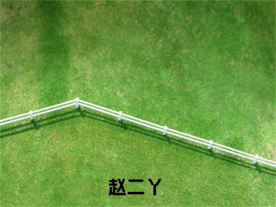 赵二丫的小说免费阅读（被姐姐夺夫后，种田养娃嫁王爷的小说免费阅读）全文完整版免费阅读