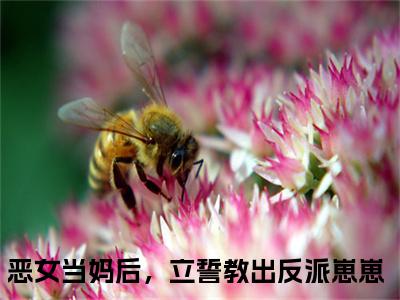 郁棠简尧山全文（恶女当妈后，立誓教出反派崽崽）全文免费阅读无弹窗大结局_（恶女当妈后，立誓教出反派崽崽）最新章节列表