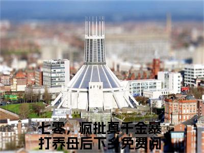 七零，疯批真千金暴打养母后下乡小说免费（陆振廷苏安）全文免费阅读无弹窗-七零，疯批真千金暴打养母后下乡小说全文免费阅读-笔趣阁