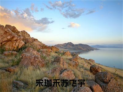 主角宋珈禾苏飞宇小说烈焰融情小说全文免费阅读