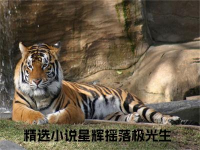 阮逸晨楚星瑶（星辉摇落极光生）全文免费阅读无弹窗大结局_阮逸晨楚星瑶最新章节完整版阅读