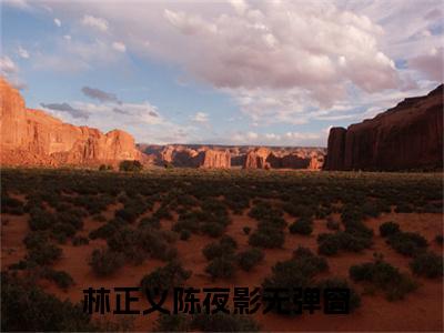主角为林正义陈夜影的小说叫什么-最新小说全文阅读