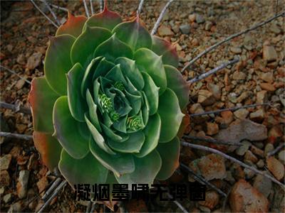 凝烟墨啸（凝烟墨啸）多人推荐-好看的小说（凝烟墨啸）完整版免费阅读