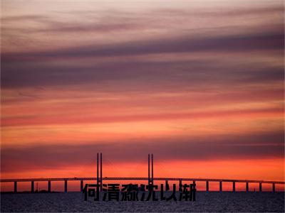 何清淼沈以渐(何清淼沈以渐)小说全文免费阅读无弹窗大结局_（何清淼沈以渐全文免费阅读）何清淼沈以渐最新章节列表笔趣阁（何清淼沈以渐）