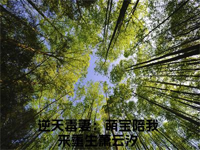 逆天毒妻：萌宝陪我来重生萧云汐(逆天毒妻：萌宝陪我来重生萧云汐）全文免费阅读无弹窗大结局_(逆天毒妻：萌宝陪我来重生萧云汐全文阅读）逆天毒妻：萌宝陪我来重生萧云汐最新章节列表_笔趣阁（逆天毒妻：萌宝陪我来重生萧云汐）