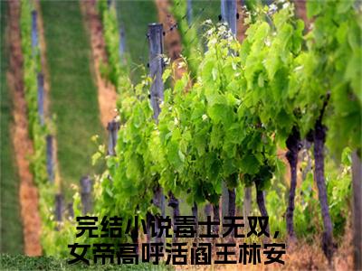 毒士无双，女帝高呼活阎王林安（毒士无双，女帝高呼活阎王林安）小说全文-毒士无双，女帝高呼活阎王林安无弹窗免费阅读