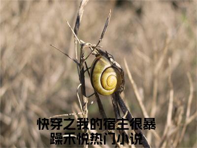 快穿之我的宿主很暴躁禾悦是哪部小说的主角-《快穿之我的宿主很暴躁禾悦》全文无弹窗完整版阅读