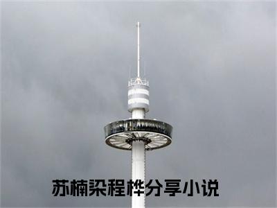（苏楠染程桦小说免费阅读）苏楠染程桦全文免费阅读无弹窗大结局-苏楠染程桦全文免费版阅读