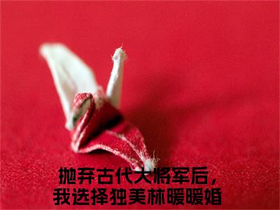 免费小说（抛弃古代大将军后，我选择独美林暖暖）全文免费阅读无弹窗-抛弃古代大将军后，我选择独美林暖暖小说全文在线赏析