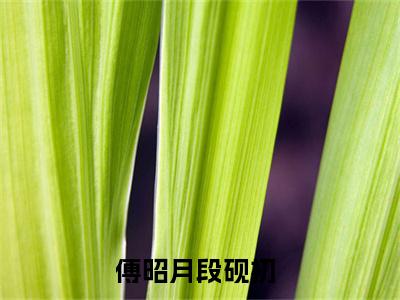 小说全文免费阅读无弹窗大结局_（傅昭月段砚初）全文在线阅读