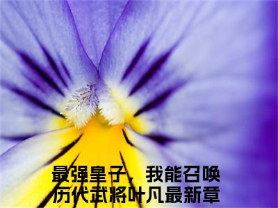 最强皇子，我能召唤历代武将叶凡小说最新章节-最强皇子，我能召唤历代武将叶凡在线阅读