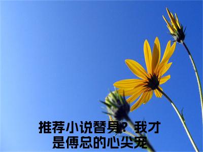 沈婉清傅逸炎（替身？我才是傅总的心尖宠）全文免费阅读大结局_替身？我才是傅总的心尖宠免费在线阅读无删减