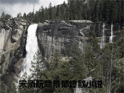 宋清阮商景郁（宋清阮商景郁）全文免费阅读无弹窗大结局-（宋清阮商景郁）宋清阮商景郁全文完结版阅读