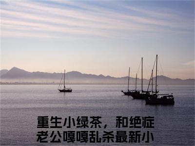宋敬呈沈禾（重生小绿茶，和绝症老公嘎嘎乱杀）小说免费阅读完结版-宋敬呈沈禾小说全文免费阅读