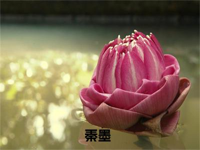 影世新象（秦墨）全文免费阅读无弹窗大结局_秦墨最新章节列表