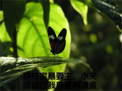 （穿成家暴妻主，小夫郎说让我自重顾清鸢）是什么小说-（穿成家暴妻主，小夫郎说让我自重顾清鸢）全文免费阅读无弹窗大结局（穿成家暴妻主，小夫郎说让我自重顾清鸢）最新章节列表_笔趣阁