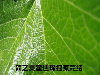 （简之夏霍廷琛）全文免费阅读无弹窗大结局_（强夺娇娇小美人！霍二爷宠她入骨全文免费）简之夏霍廷琛小说最新章节列表_笔趣阁