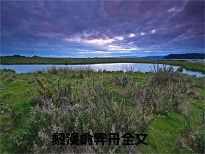 （全文）+（番外）小撩精失踪后，俞总他疯了！小说免费阅读-黎漫俞霁舟小撩精失踪后，俞总他疯了！小说在哪里可以看