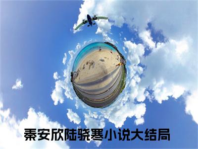 （秦安欣陆骁寒）全文免费阅读无弹窗大结局_三爷，夫人带崽从地狱杀回来了免费小说最新章节列表笔趣阁（秦安欣陆骁寒）