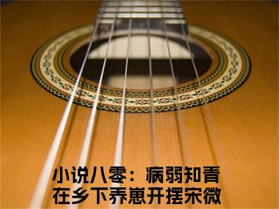 八零：病弱知青在乡下养崽开摆宋微（八零：病弱知青在乡下养崽开摆宋微）最新章节阅读-热点小说榜单推荐八零：病弱知青在乡下养崽开摆宋微