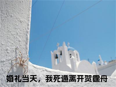 婚礼当天，我死遁离开贺霆舟全文小说-婚礼当天，我死遁离开贺霆舟小说最新章节免费阅读