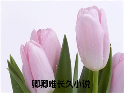 卿卿难长久全集小说（韩慕荷秦衍）全文免费阅读无弹窗大结局_卿卿难长久最新章节列表_笔趣阁（韩慕荷秦衍）