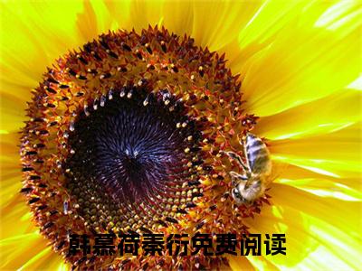 韩慕荷秦衍卿卿难长久精彩章节在线阅读-卿卿难长久美文欣赏