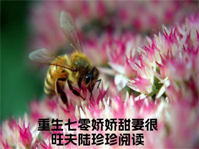 重生七零娇娇甜妻很旺夫陆珍珍小说最新章节阅读-小说（重生七零娇娇甜妻很旺夫陆珍珍）已完结小说精彩大结局