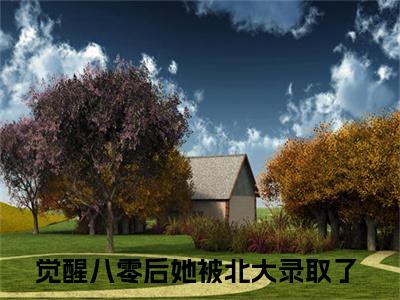 宋昭禾陆琮（觉醒八零后她被北大录取了全文在线阅读）-宋昭禾陆琮（觉醒八零后她被北大录取了）免费阅读