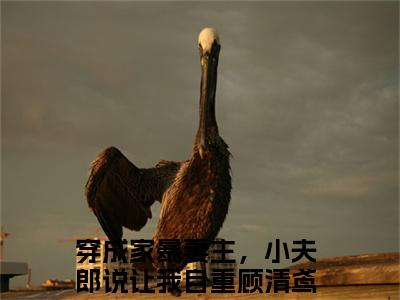 （穿成家暴妻主，小夫郎说让我自重顾清鸢推荐免费新书）穿成家暴妻主，小夫郎说让我自重顾清鸢完整章节阅读-穿成家暴妻主，小夫郎说让我自重顾清鸢全集小说完整版大结局