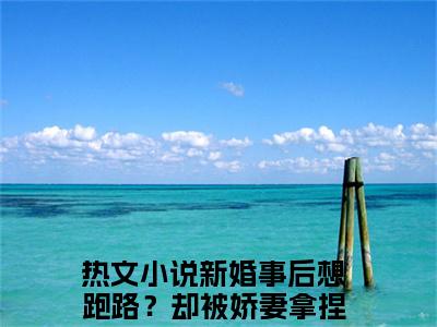 江慕柠秦牧野小说最新试读_新婚事后想跑路？却被娇妻拿捏了小说名是（江慕柠秦牧野）_笔趣阁