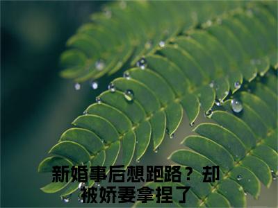 新婚事后想跑路？却被娇妻拿捏了全文（江慕柠秦牧野）全文免费阅读无弹窗大结局_（江慕柠秦牧野）最新章节列表