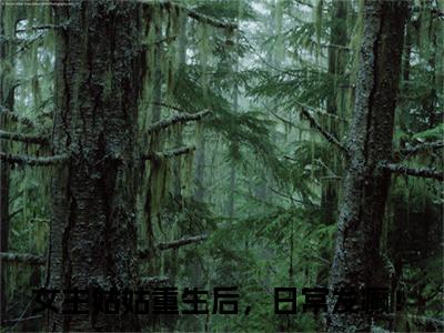 （结局）+（免费）女主姑姑重生后，日常发癫！是哪部小说的主角，凌薇樊安全文在线赏析