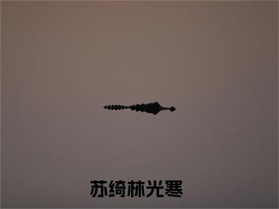 谎言与告白诗热门小说目录推荐苏绮林光寒全文完整版阅读