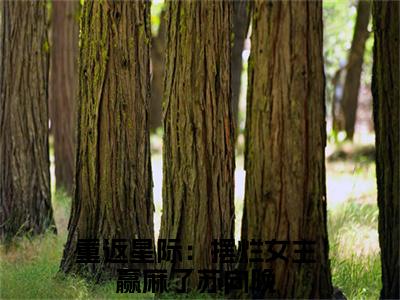 苏向晚（重返星际：摆烂女主赢麻了）全文免费阅读无弹窗完整版，（苏向晚）免费阅读全文最新章节列表_笔趣阁