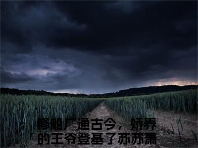 苏苏萧云啸小说（修船厂通古今，娇养的王爷登基了）全文免费阅读_苏苏萧云啸小说（修船厂通古今，娇养的王爷登基了）最新章节列表笔趣阁小说