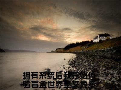 拥有系统后我开始体验盲盒世界免费阅读（云溪云熙）全文免费阅读无弹窗大结局_拥有系统后我开始体验盲盒世界免费阅读最新章节列表