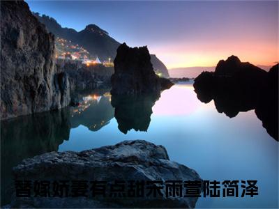 宋雨萱陆简泽的小说主角（替嫁娇妻有点甜）免费阅读_替嫁娇妻有点甜热搜小说完结版阅读