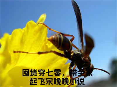 囤货穿七零，带全家起飞宋晚晚小说（囤货穿七零，带全家起飞宋晚晚）全文免费阅读无弹窗大结局_囤货穿七零，带全家起飞宋晚晚小说最新章节列表