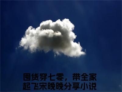 囤货穿七零，带全家起飞宋晚晚的小说免费阅读（囤货穿七零，带全家起飞宋晚晚的小说免费阅读）全文完整版免费阅读