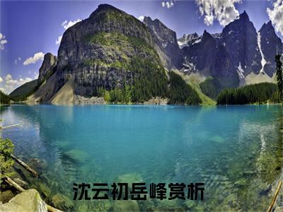 沈云初岳峰小说（沈云初岳峰）小说全文无删减版在线阅读_沈云初岳峰小说最新章节列表