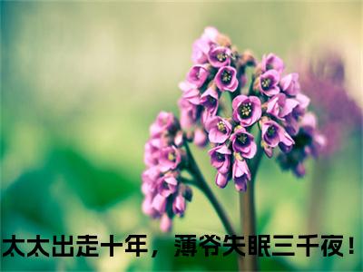 无广告小说桑瑜薄斯年全文免费阅读无弹窗大结局-太太出走十年，薄爷失眠三千夜！川在线阅读