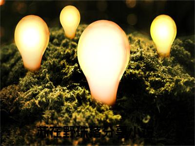 苏在野珠落小说全文在线赏析-最火热点小说最新更新