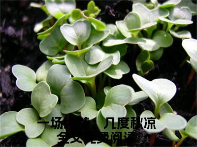 一场大梦，几度秋凉（云枝云澈）小说免费阅读完结版-一场大梦，几度秋凉小说全文免费阅读（云枝云澈后续+全集）