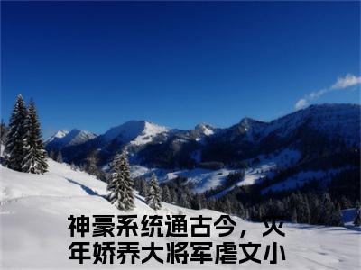 南乔裴戎小说讲的是什么-神豪系统通古今，灾年娇养大将军精彩章节目录观看