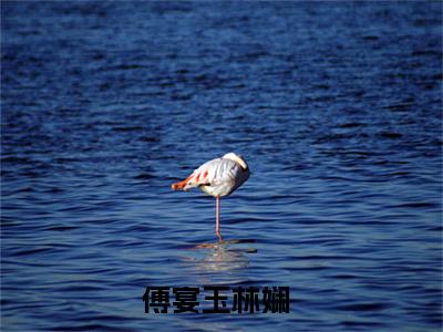 傅宴玉林娴（爱在无人时）全文免费阅读无弹窗大结局_傅宴玉林娴说免费阅读最新章节列表